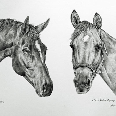 CharlieBoy & Zippo's Jaded Legacy - Horse Pencil Portraits by Angie