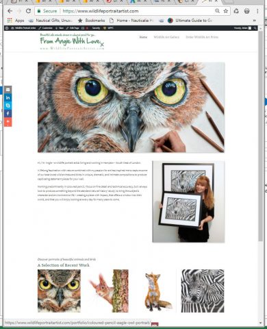 Check out my new dedicated wildlife art website at www.WildlifePortraitArtist.com.
