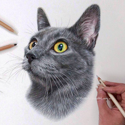 Koshka - Russian Blue Cat Portrait by Pet Portrait Artist Angie