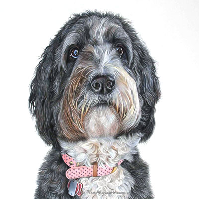 Bella - Bernedoodle Portrait by Pet & Wildlife Artist Angie